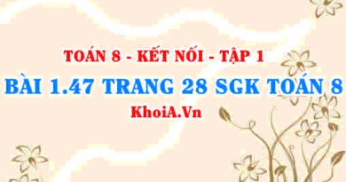 Bài 1.47 trang 28 SGK Toán 8 tập 1 Kết nối tri thức